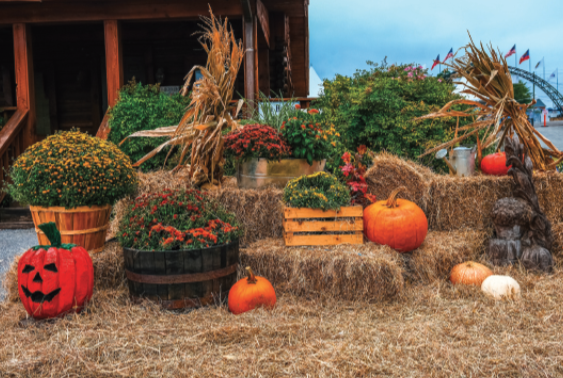 Autumn Acres Family Fest brings fall traditions to Family Roots